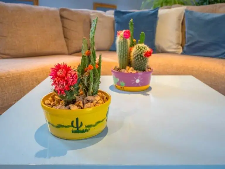 How Much Does a Sleeper Sofa Weigh? 27 Examples