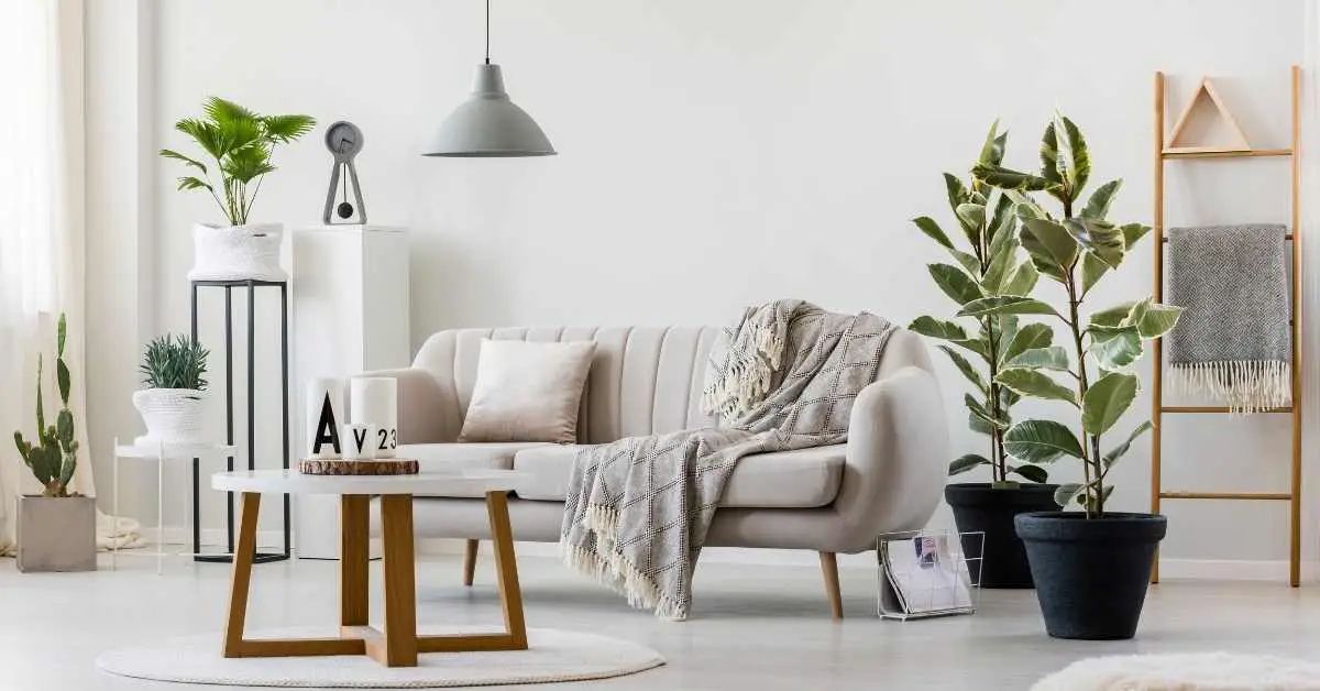 Are Joybird Couches Worth It? (Explained)