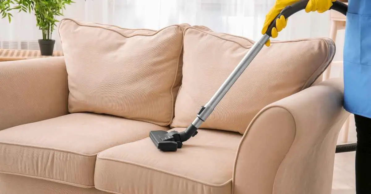 How Do You Clean an Article Sven? (Explained)