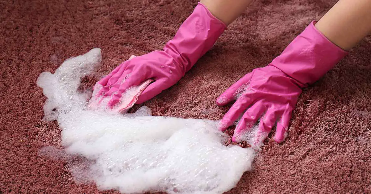 How to Get Wood Furniture Stain Out of Carpet? (Explained)