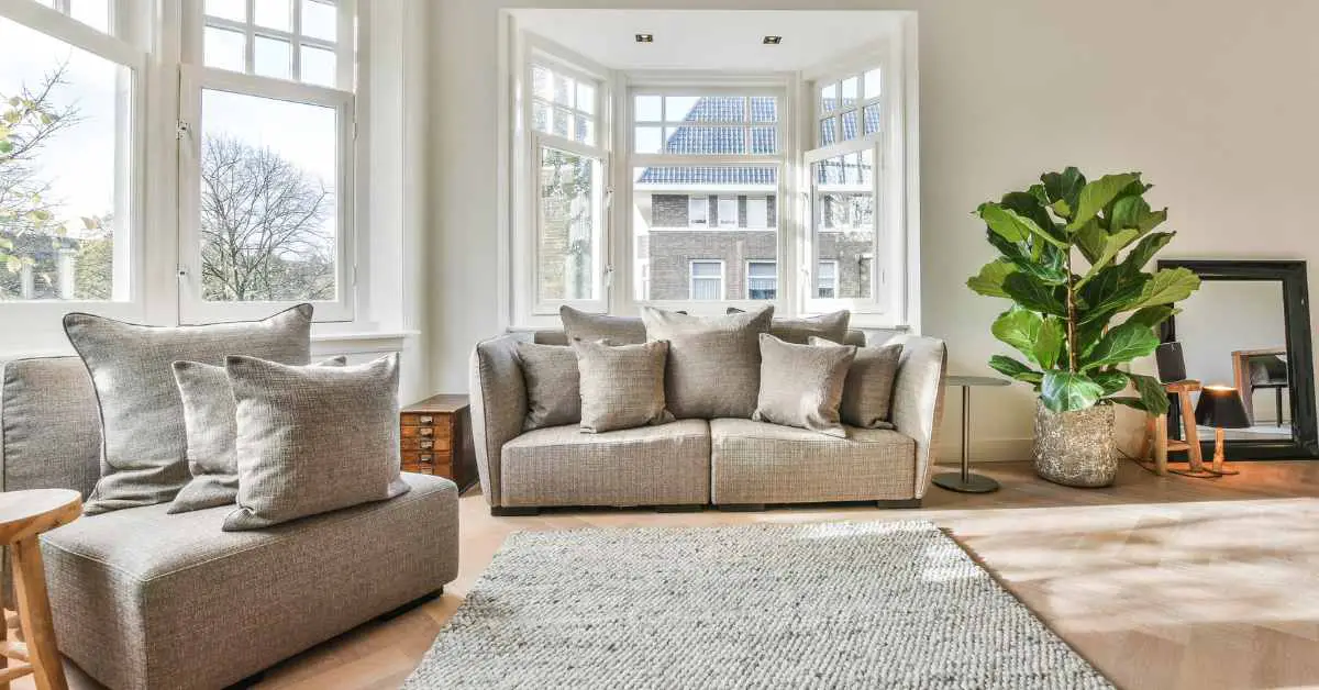 Where Does Anthropologie Get Their Furniture? (Explained)