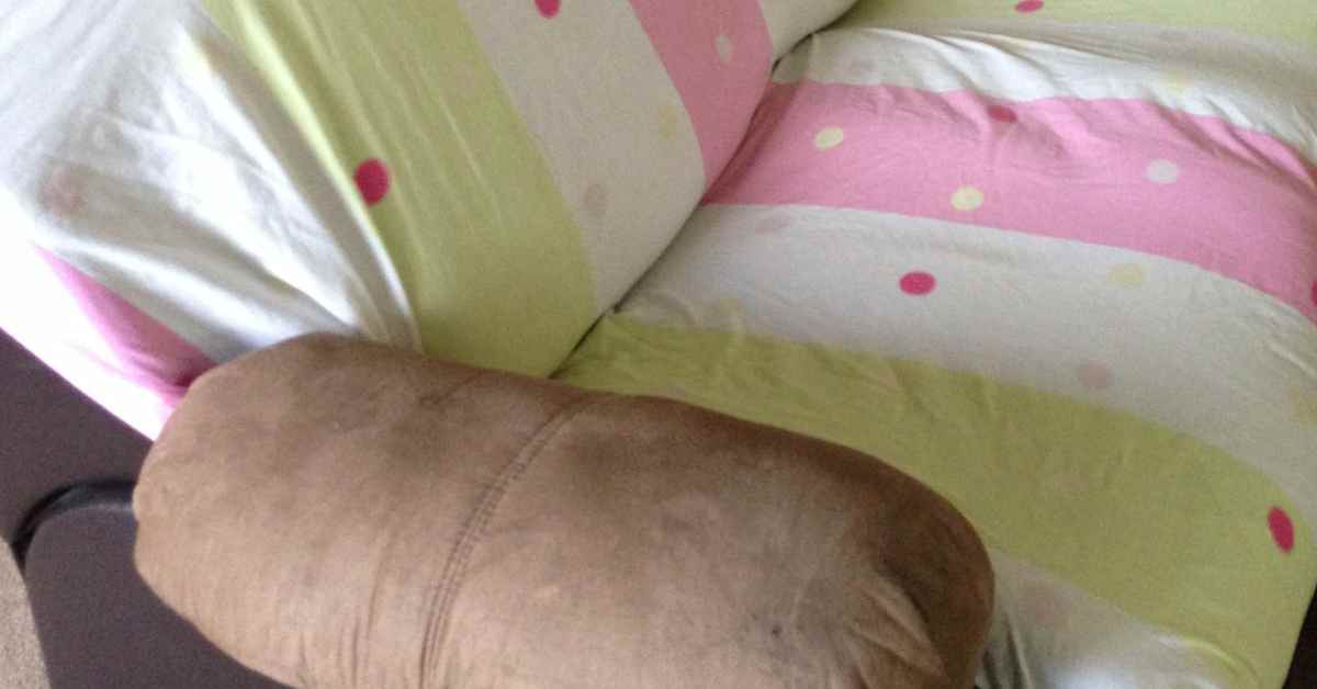 Can You Put a Fitted Sheet on a Sofa Bed? (Explained)
