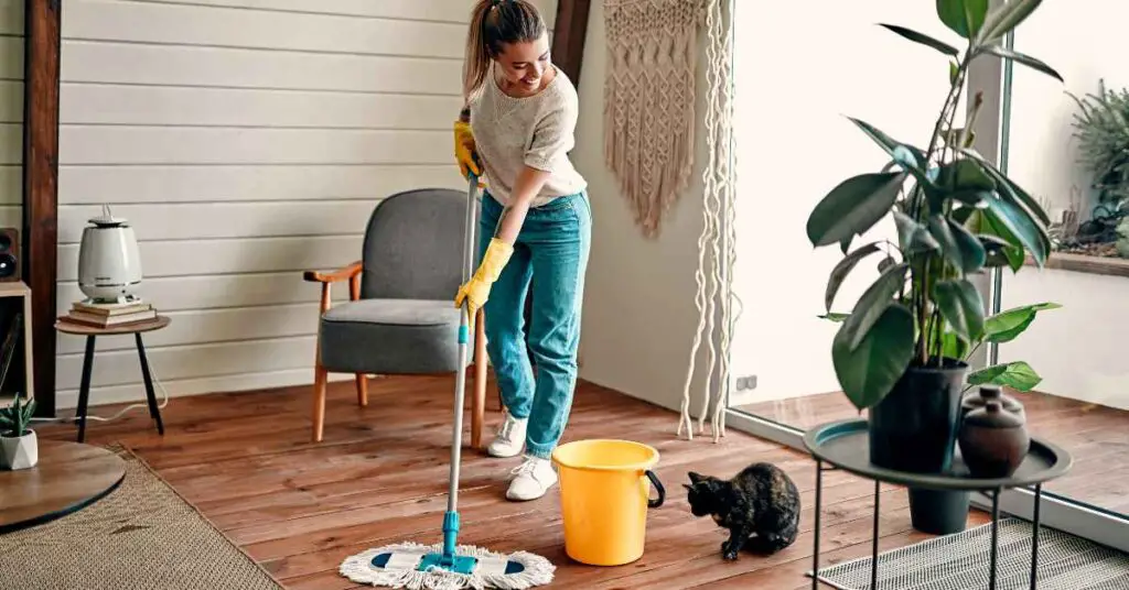 How many hours a day should you clean your house?