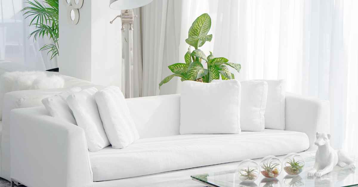 Should Curtains and Sofa Cushions Match? 9 Great Ideas