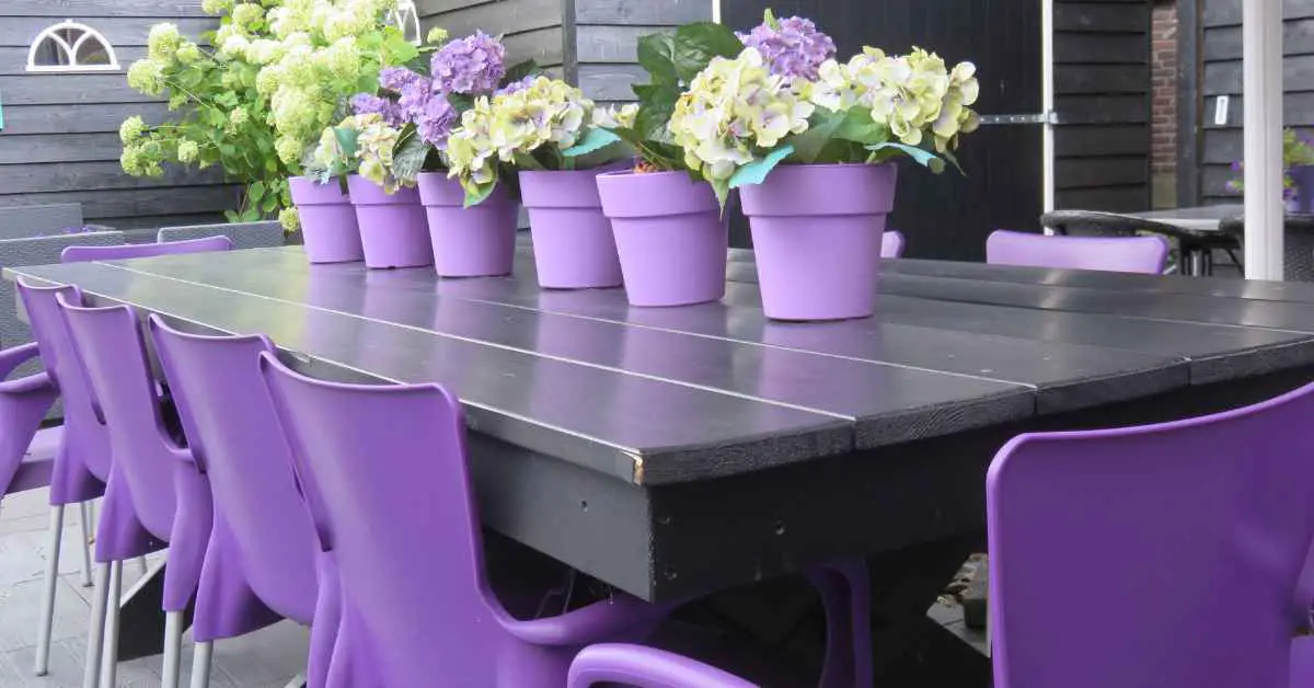 What Color Chairs Go With a Black Table? 11 Great Ideas
