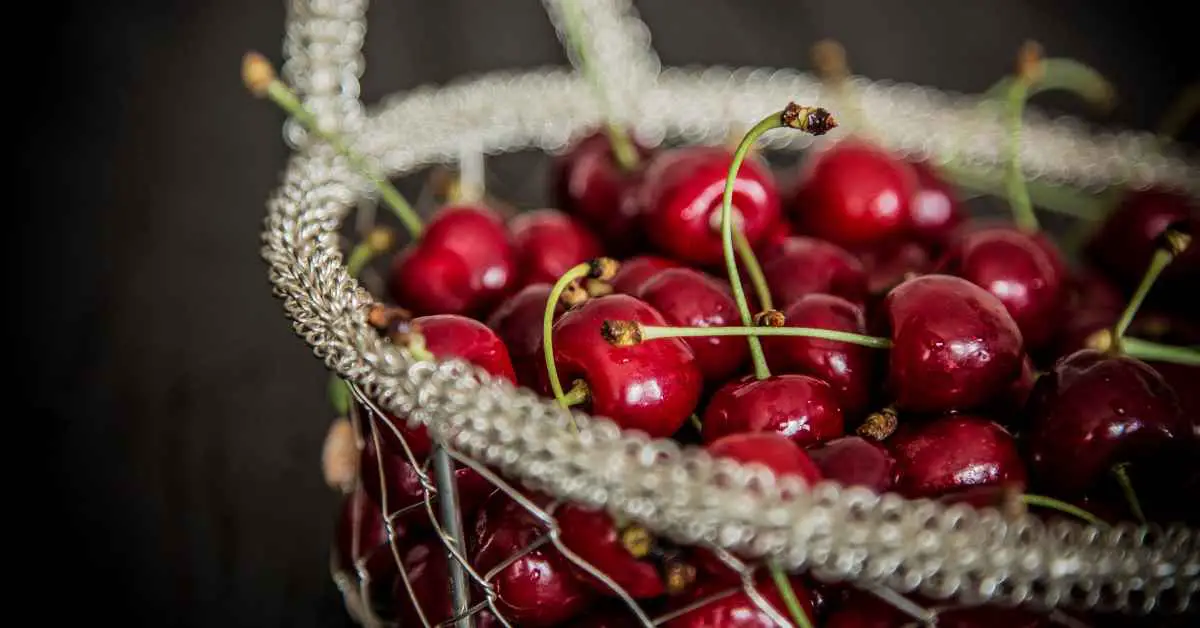 What to Put in Wire Baskets For Decoration? 9 Great Ideas