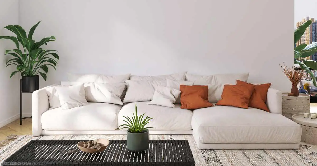 Are Feather Filled Sofa Good? (Explained)