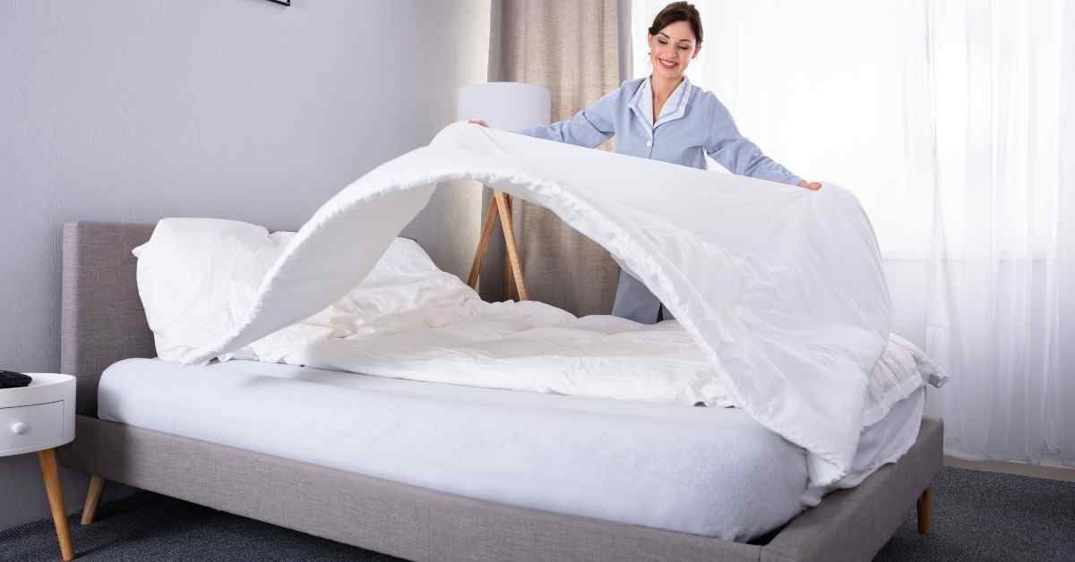 Can You Sleep on the Sofa Bed Every Night? (Explained)